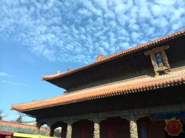 山东技能学习指南，从入门到进阶的任务与步骤解析